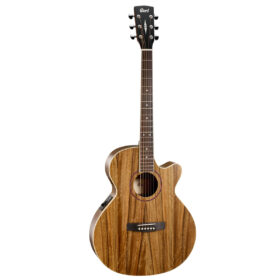 Cort SFX-DAO Accoustic Guitar With Bag