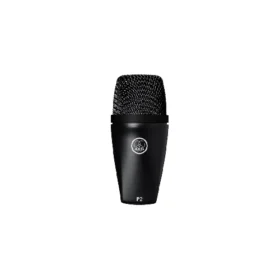 AKG P220 Condenser MIC