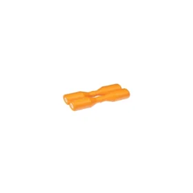 SH4CS Luis Conte Shaker, Live, Creamsicle