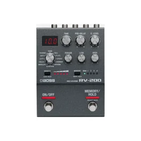 Boss RV-200