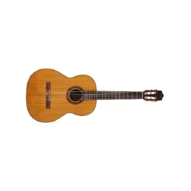 Cordoba C5