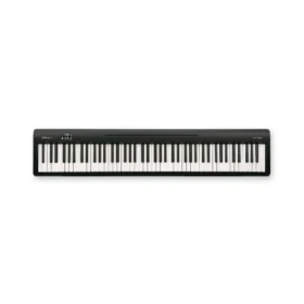 Roland FP-10-BK
