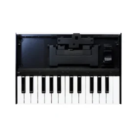 Roland K-25M