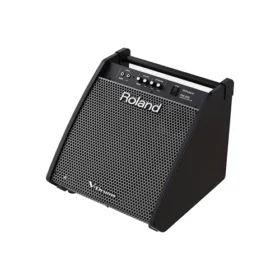 Roland PM-200