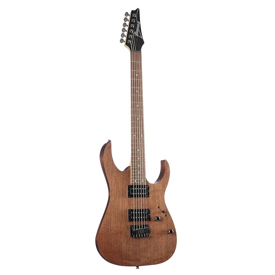 RG421-MOL Ibanez RG421-MOL Electric Guitar - Image 1